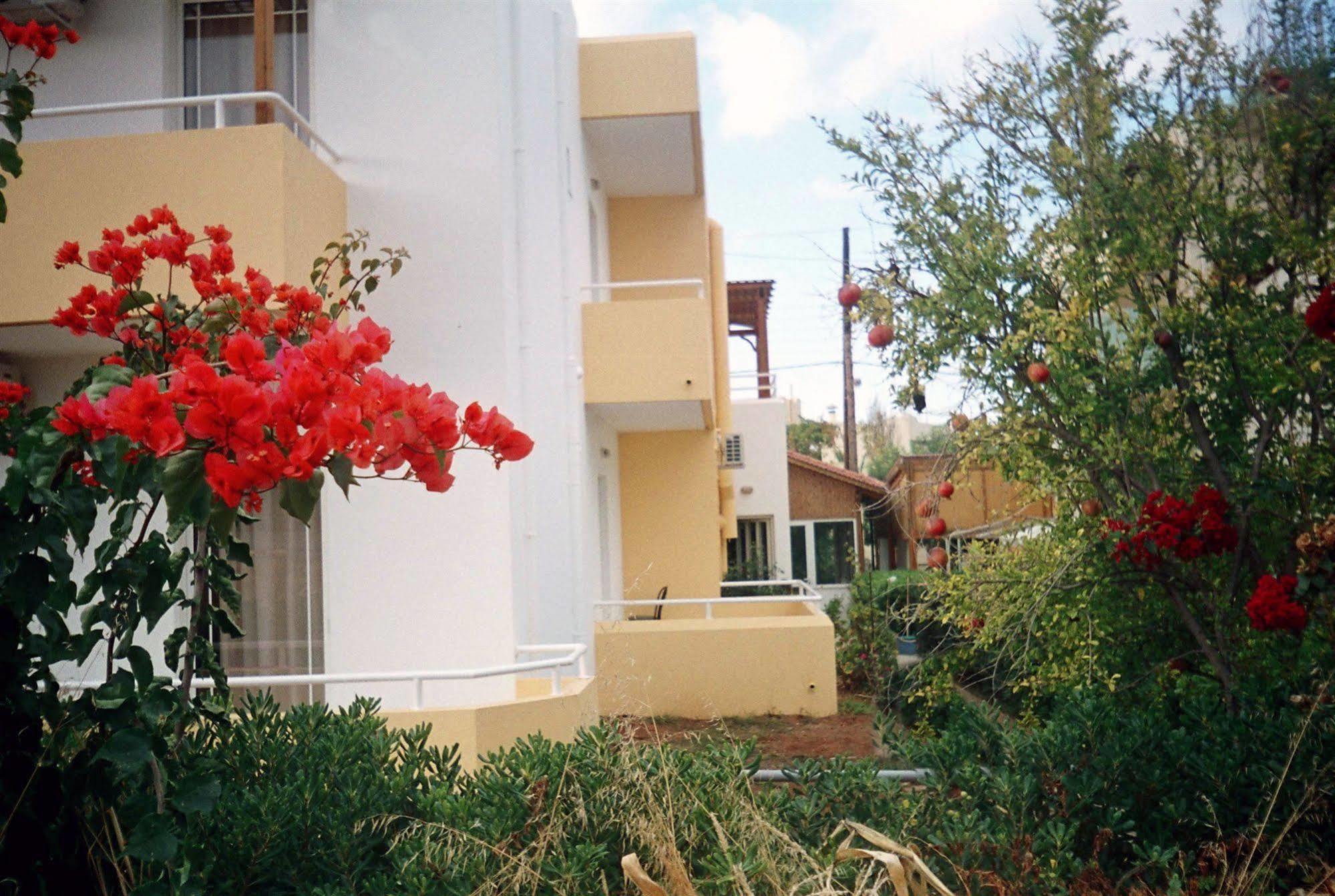 Dimitra Apartments Gouves Extérieur photo